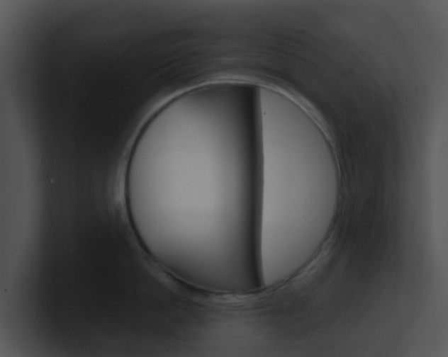 X0000100910862200806241049