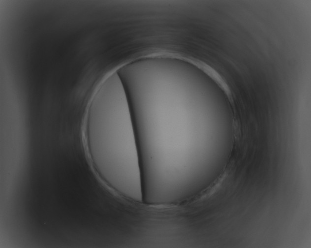 X0000100910863200806241049