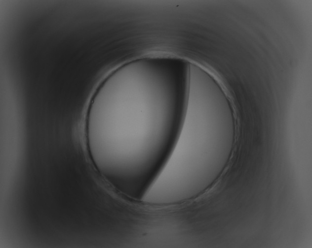 X0000100910864200806241050