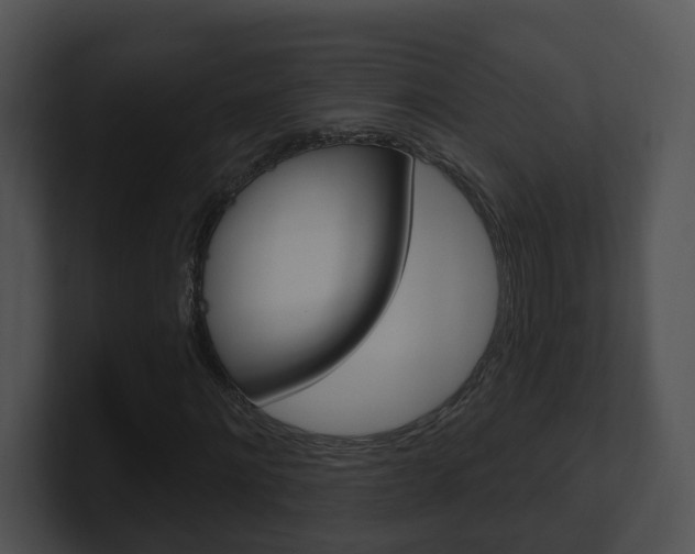X0000100910868200806241049