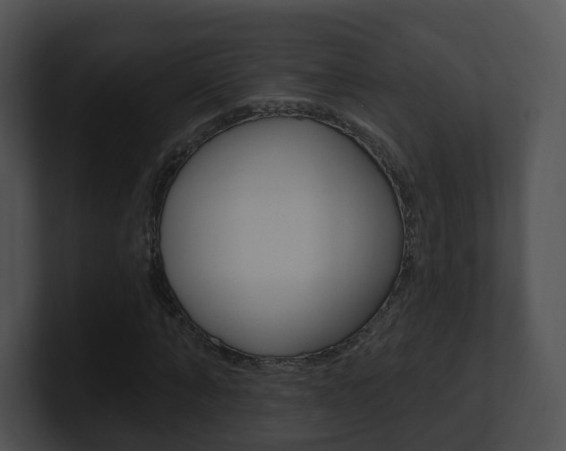 X0000100910870200806241049