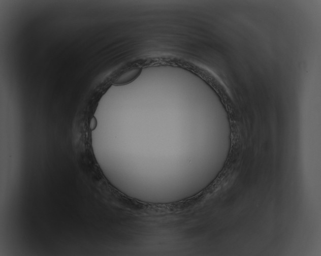 X0000100910871200806241049