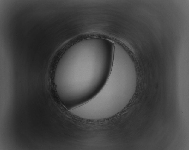 X0000100910872200806241049