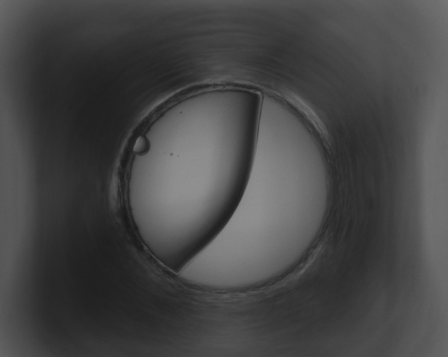 X0000100910876200806241049