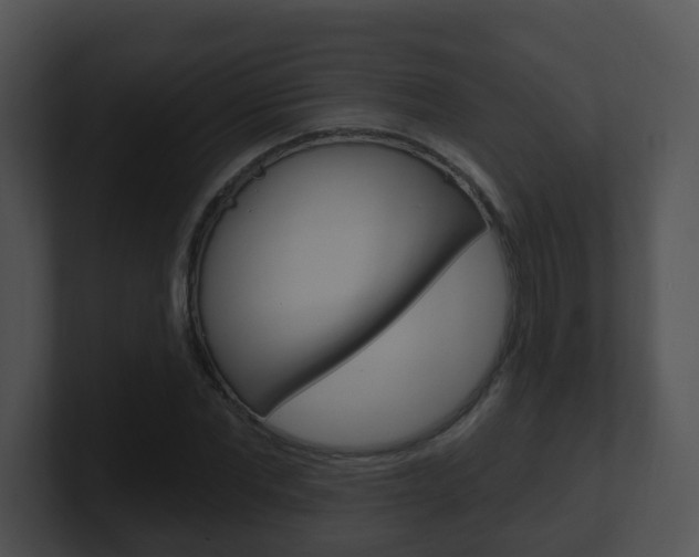 X0000100910877200806241049