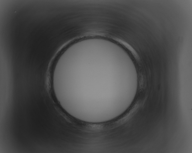 X0000100910878200806241049