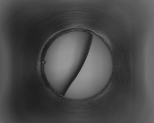 X0000100910880200806241049