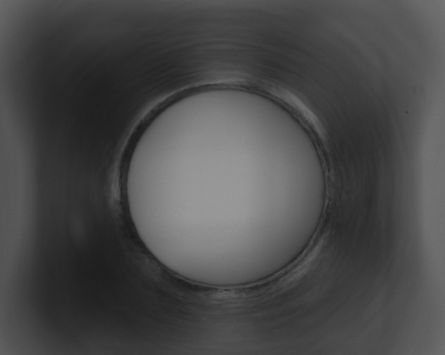X0000100910883200806241049