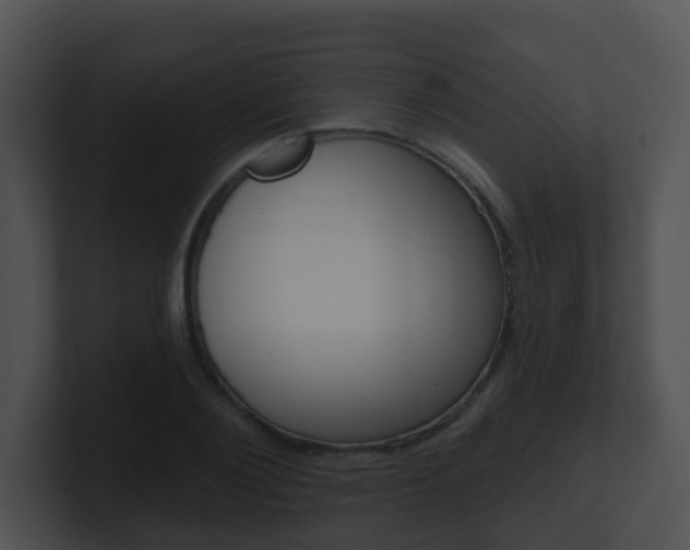 X0000100910884200806241049
