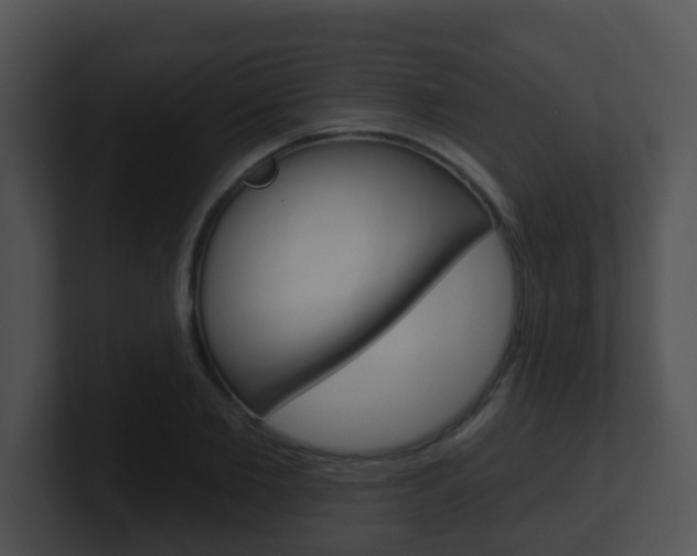 X0000100910885200806241049