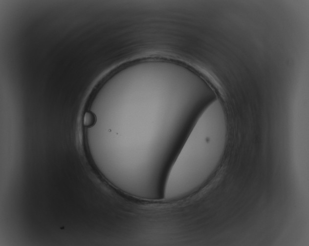 X0000100910888200806241049