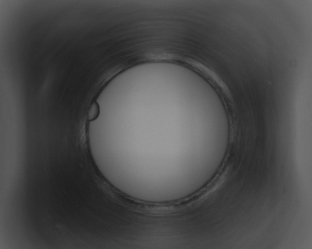 X0000100910889200806241049