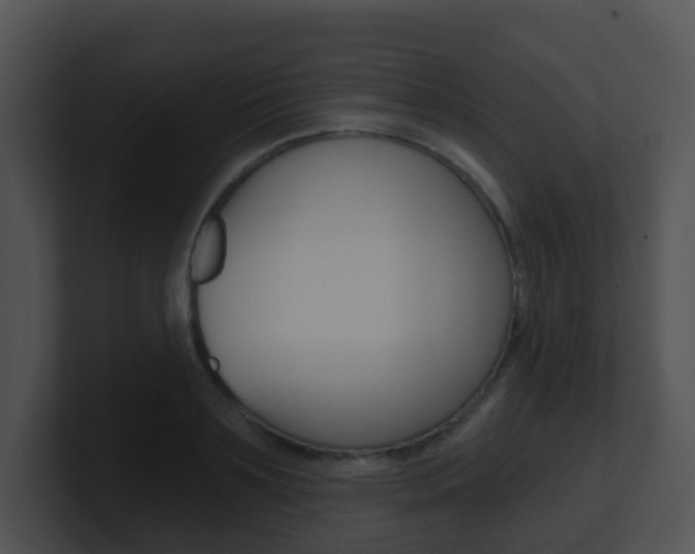 X0000100910891200806241049