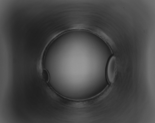 X0000100910892200806241049