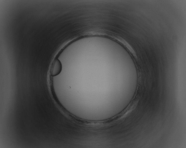 X0000100910893200806241048