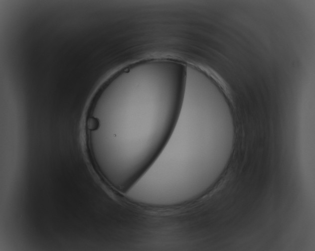 X0000100910894200806241048