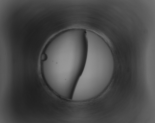 X0000100910896200806241048