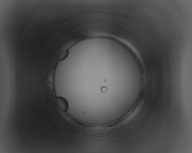X0000100910897200806241048