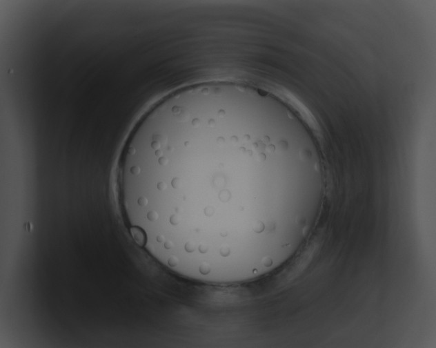 X0000100910899200806241048