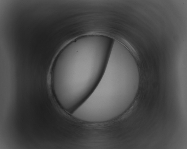X0000100910900200806241048