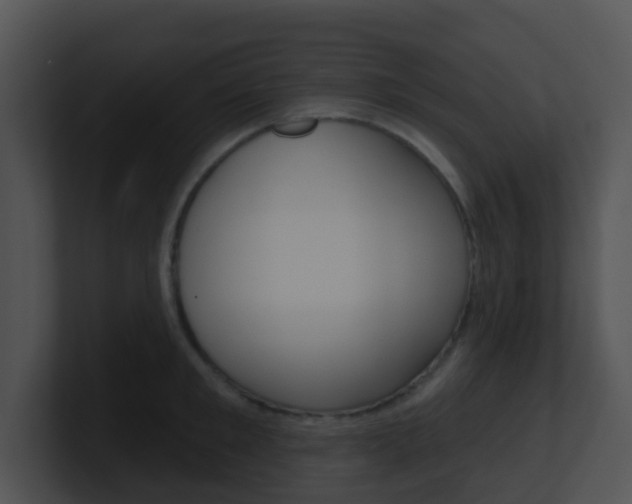X0000100910901200806241048