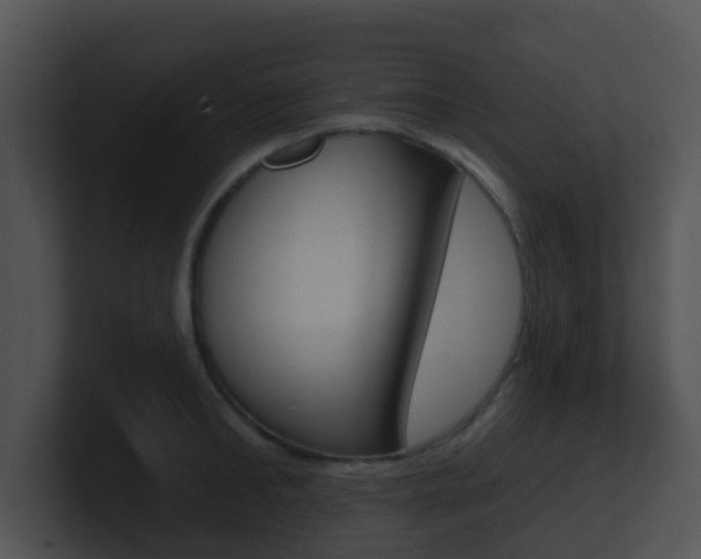 X0000100910902200806241048