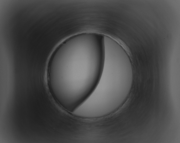 X0000100910904200806241048