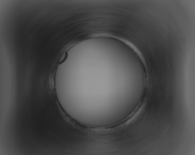 X0000100910905200806241048