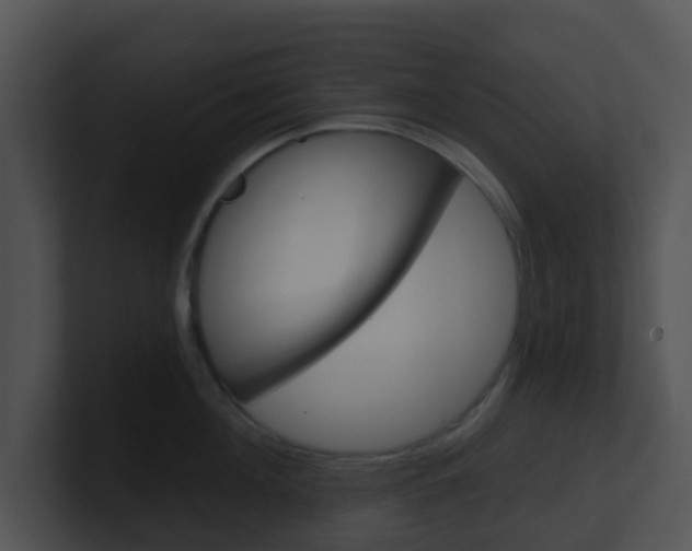 X0000100910908200806241048