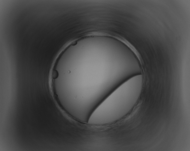 X0000100910909200806241048