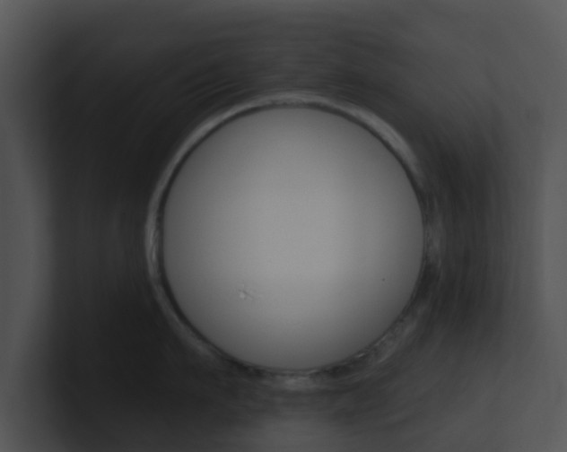 X0000100910911200806241048