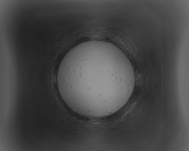 X0000100910913200806241048