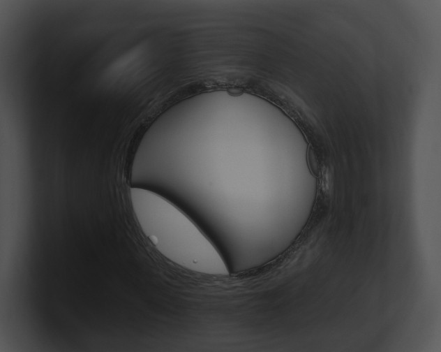 X0000100910915200806241048