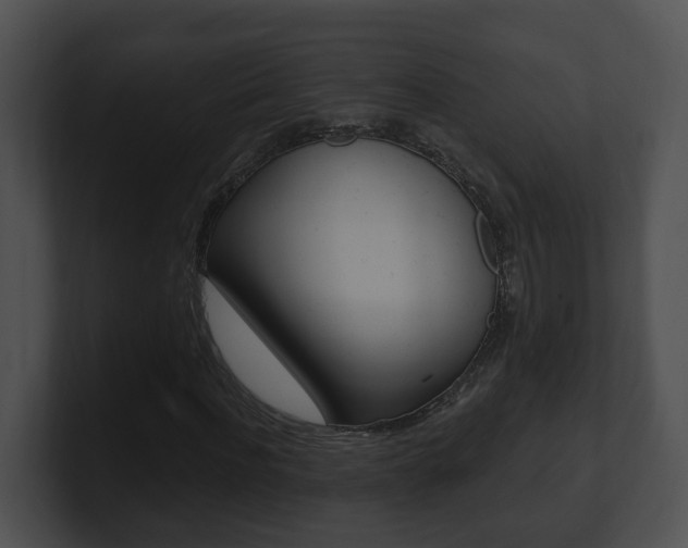 X0000100910916200806241048