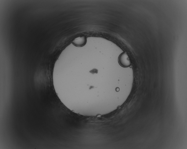 X0000100910918200806241048