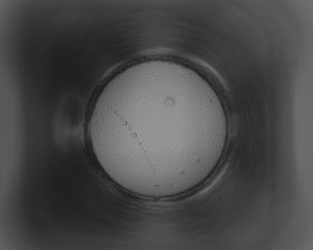 X0000100910921200806241048