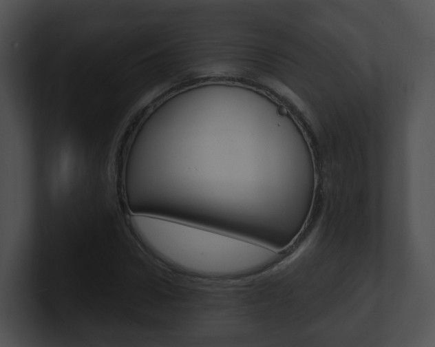 X0000100910922200806241048