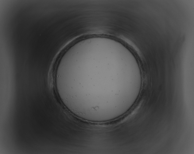 X0000100910925200806241048