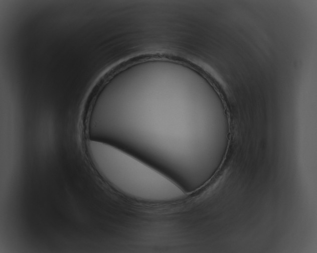 X0000100910927200806241048