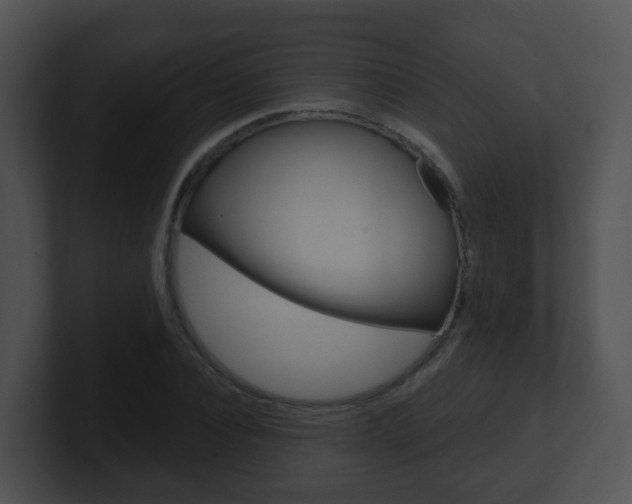 X0000100910928200806241048