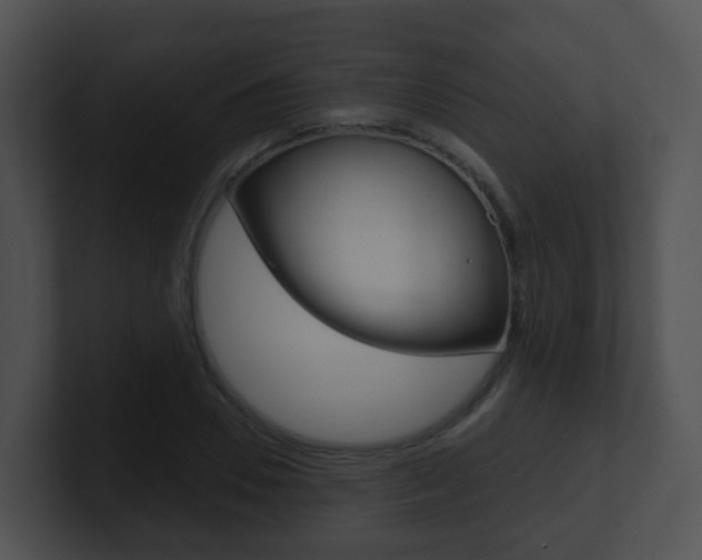 X0000100910930200806241048