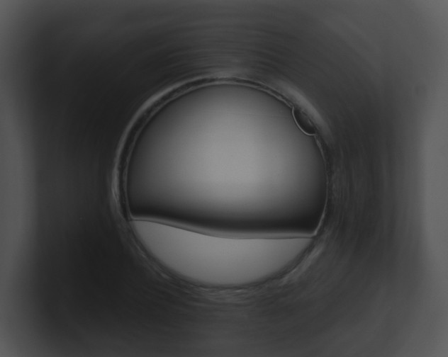 X0000100910932200806241048