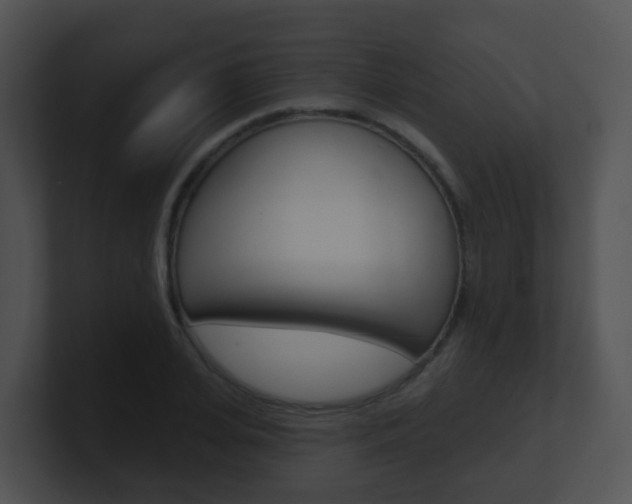 X0000100910935200806241048