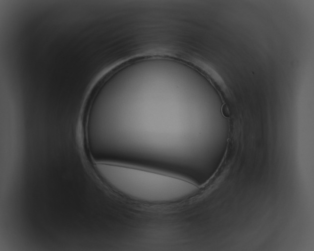 X0000100910936200806241048