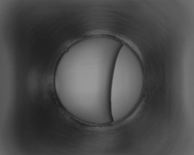 X0000100910937200806241048