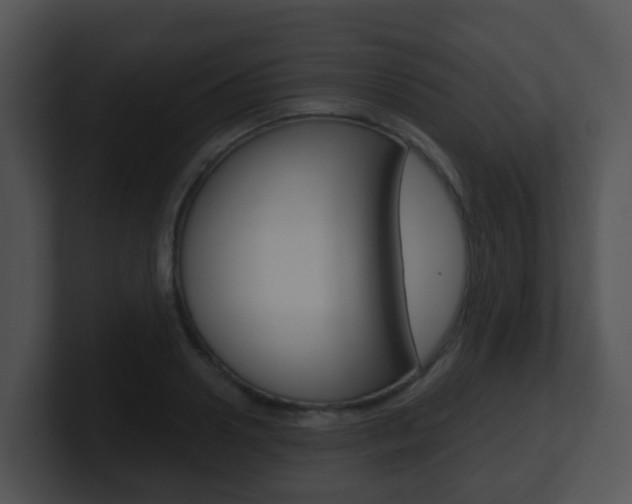 X0000100910938200806241048