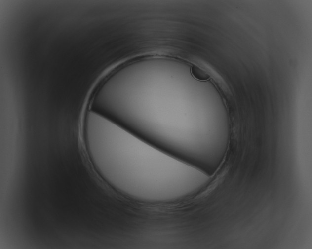 X0000100910940200806241048