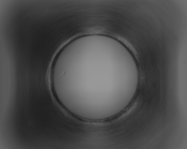 X0000100910941200806241048