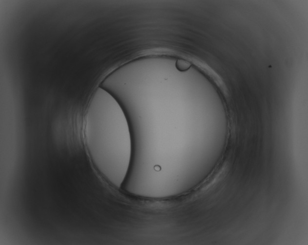X0000100910945200806241048