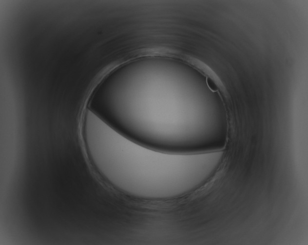 X0000100910946200806241048